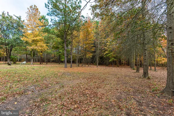 a view of empty space with a tiny play house