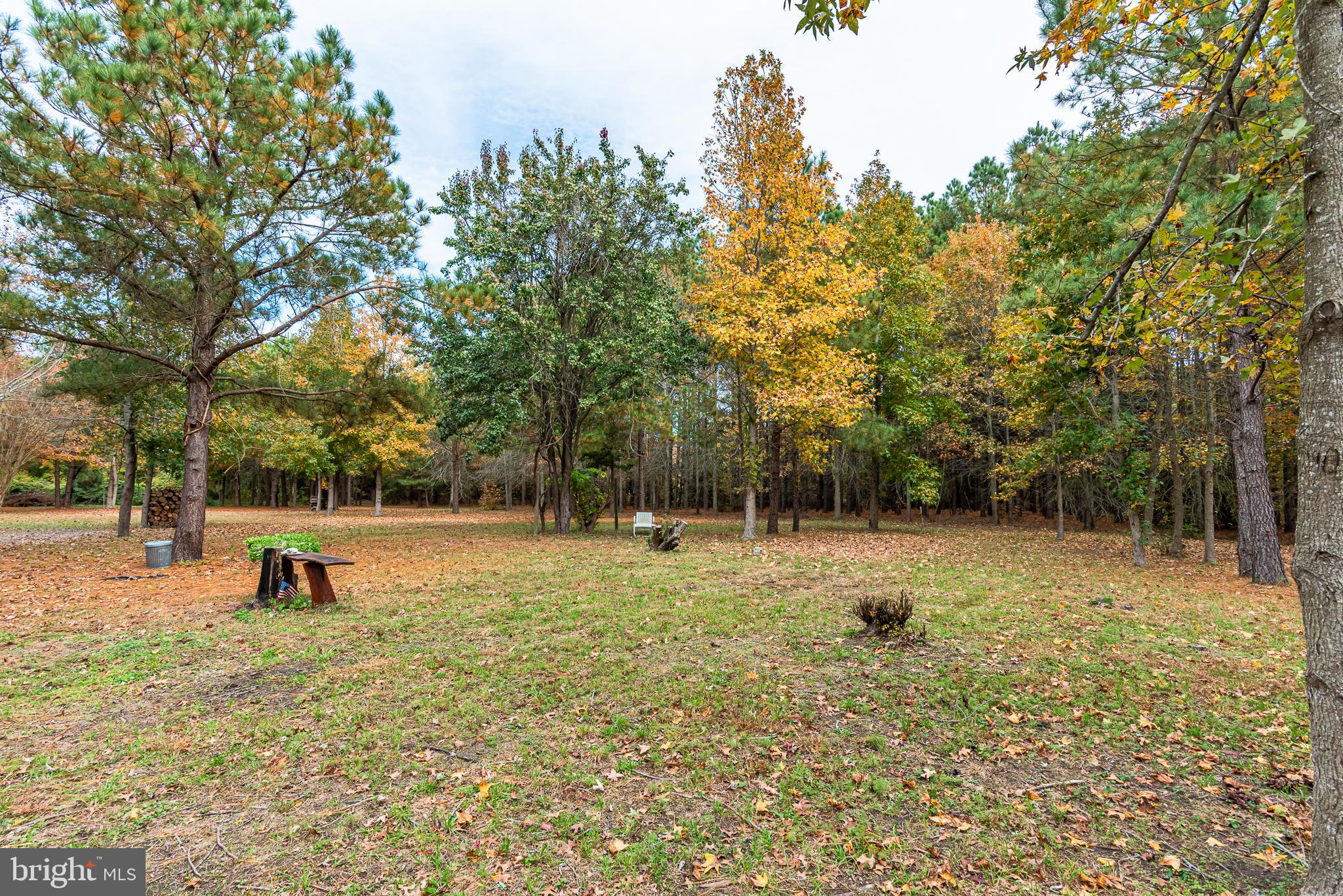 24653 McInturff Road Dames Quarter, MD 21821 - Photo 19 of 62 a view of a park