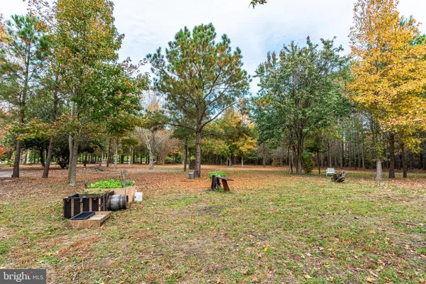 a view of a backyard with large trees