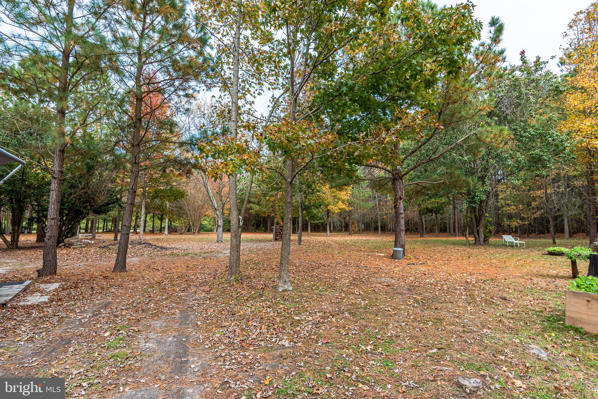 24653 McInturff Road Dames Quarter, MD 21821 - Photo 22 of 62 a view of empty space with a tiny play house