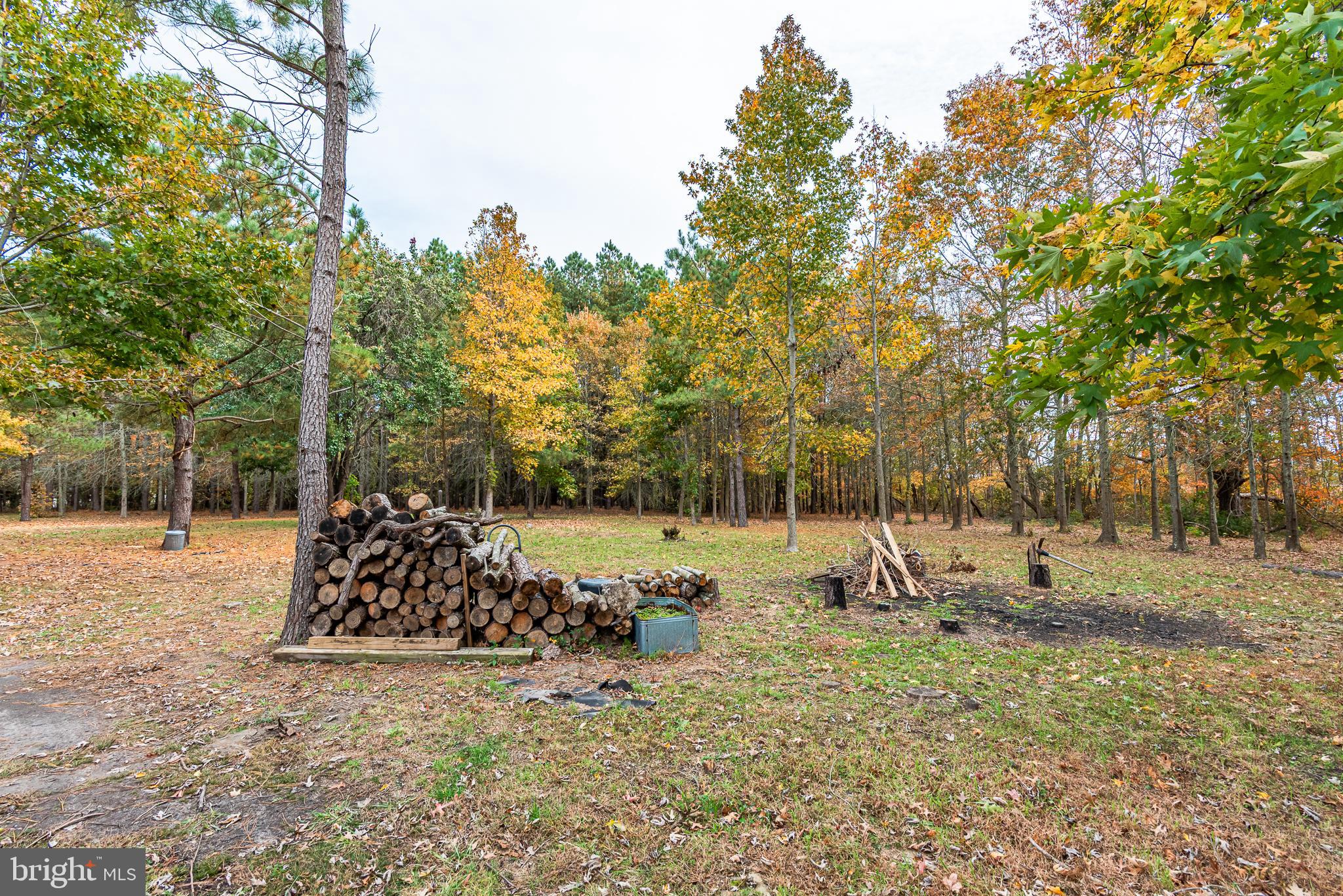 24653 McInturff Road Dames Quarter, MD 21821 - Photo 23 of 62 a view of a park with large trees