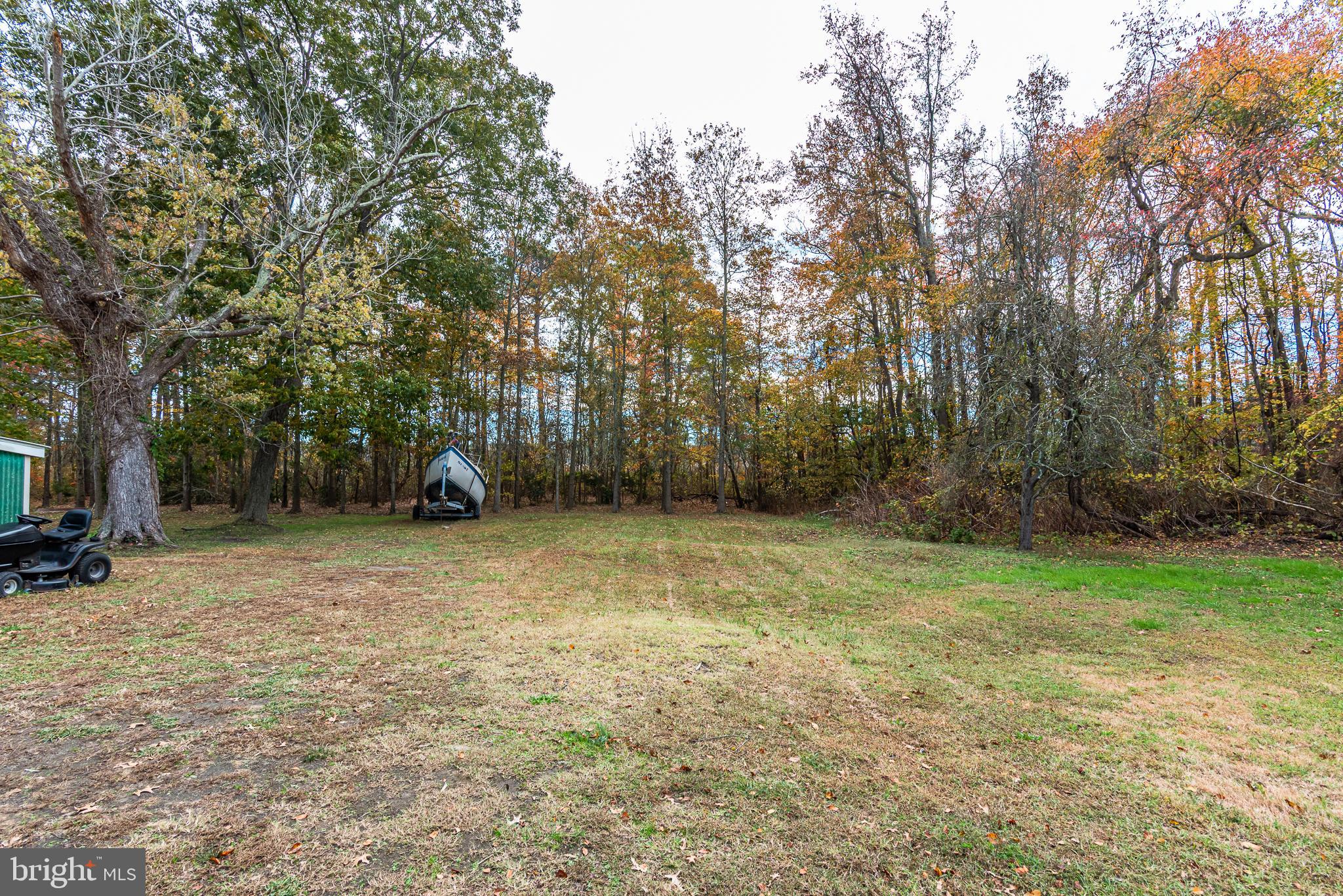 24653 McInturff Road Dames Quarter, MD 21821 - Photo 27 of 62 a view of a backyard with large trees