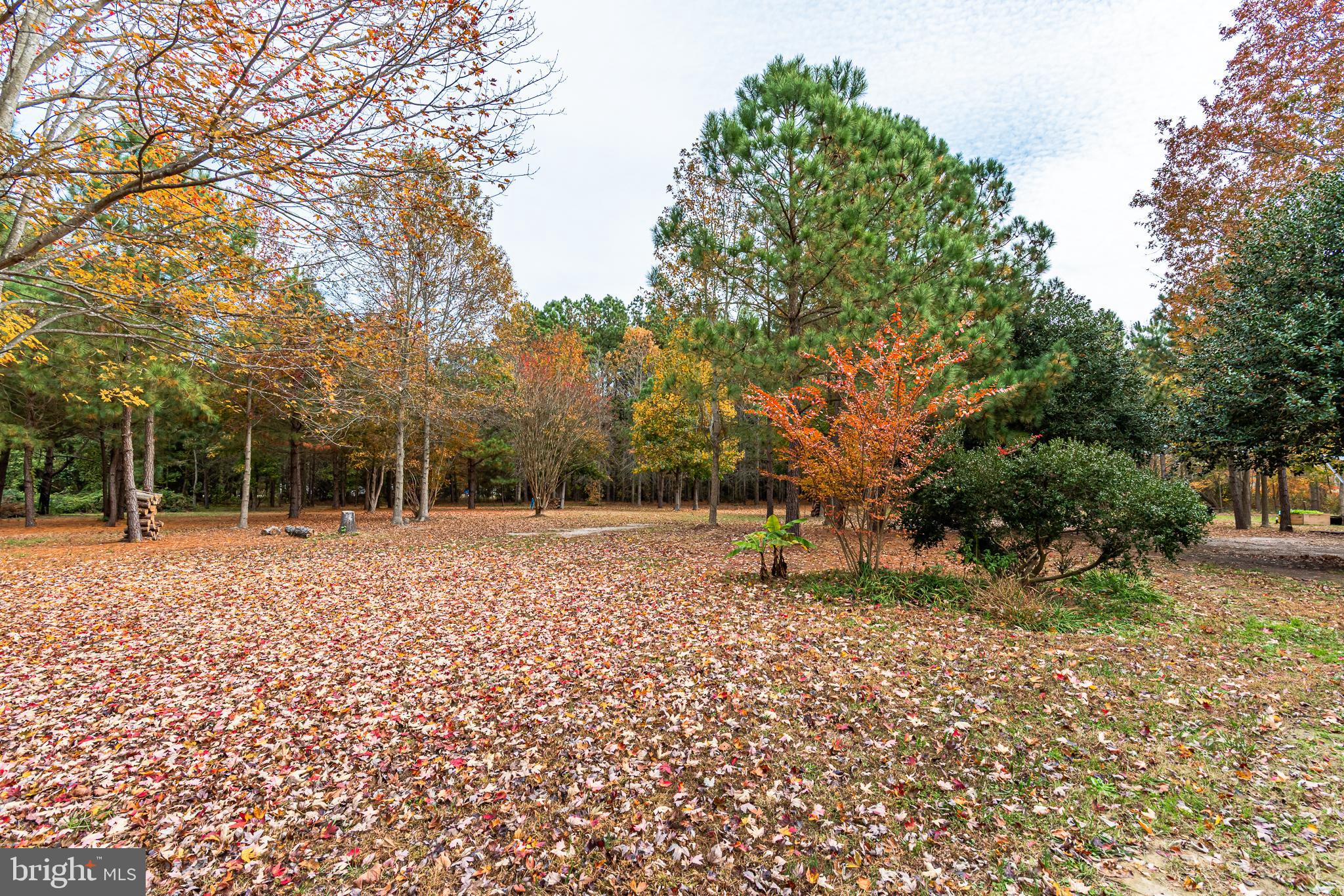 24653 McInturff Road Dames Quarter, MD 21821 - Photo 29 of 62 a fire hydrant in the middle of a field