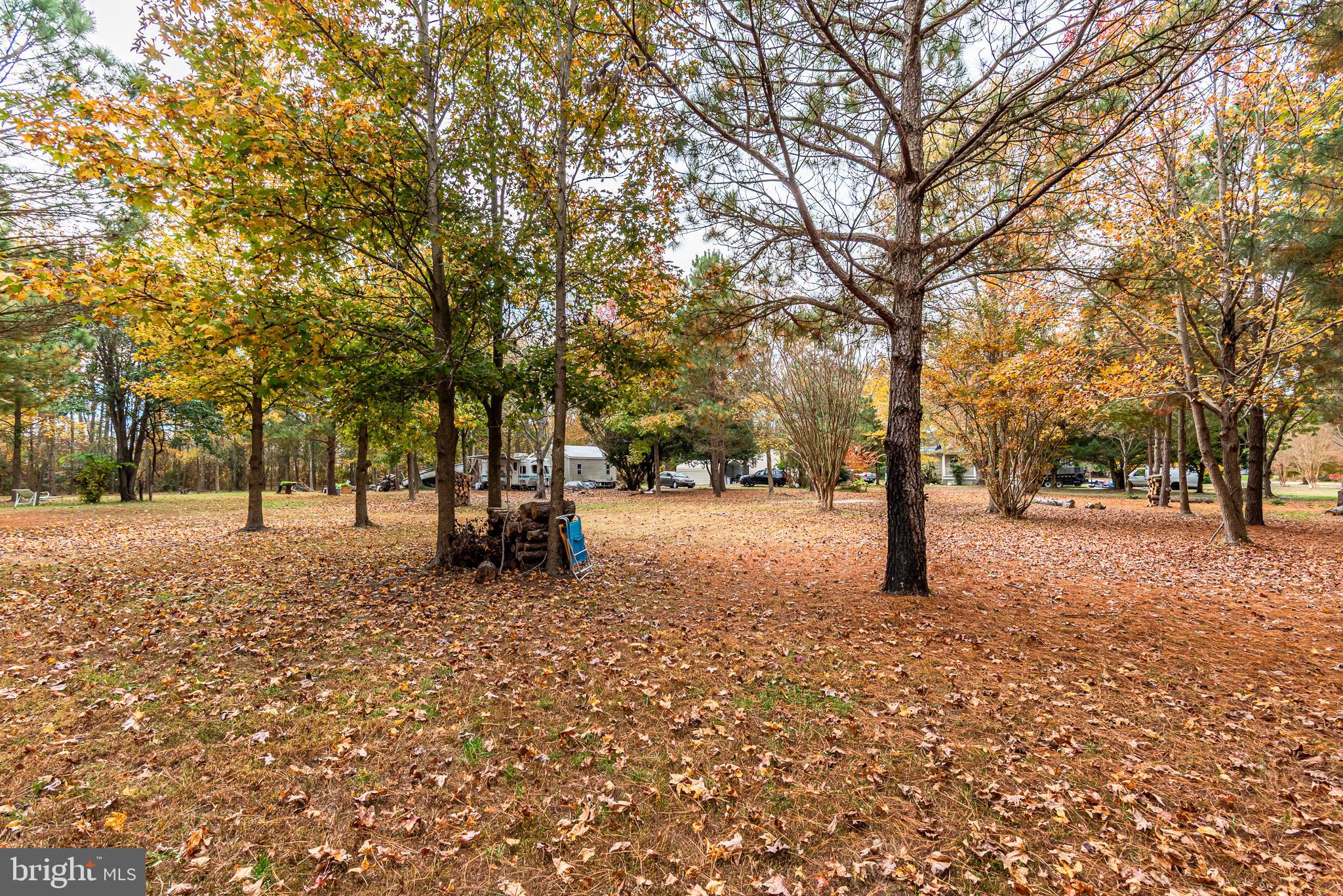 24653 McInturff Road Dames Quarter, MD 21821 - Photo 3 of 62