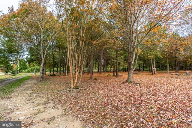 a view of a road with plants and trees beside of it