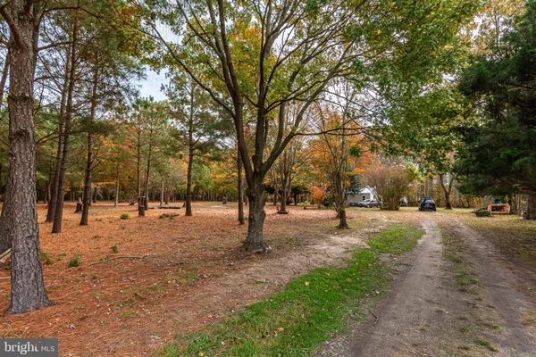 a view of yard with tree
