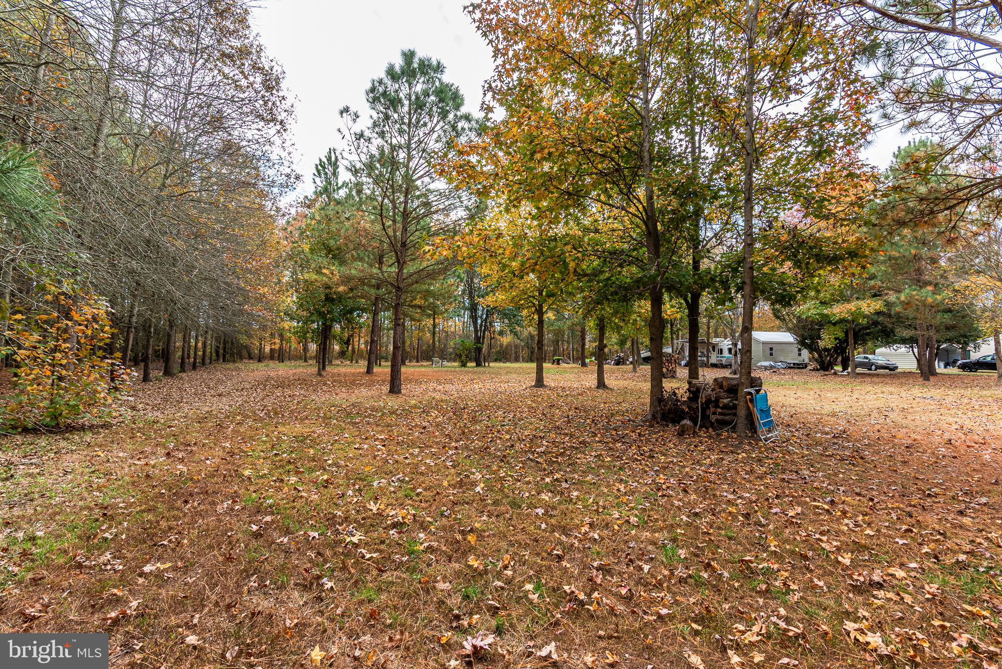 24653 McInturff Road Dames Quarter, MD 21821 - Photo 4 of 62 a view of park with trees