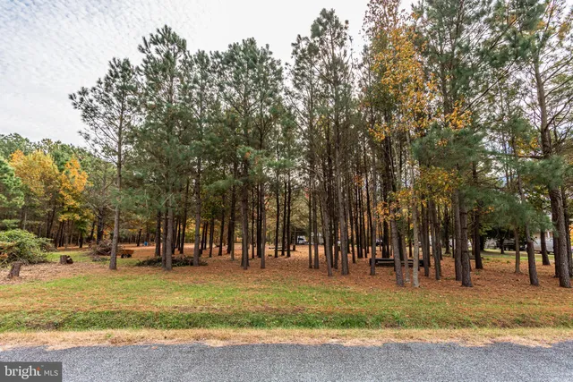 a backyard of a house with lots of trees
