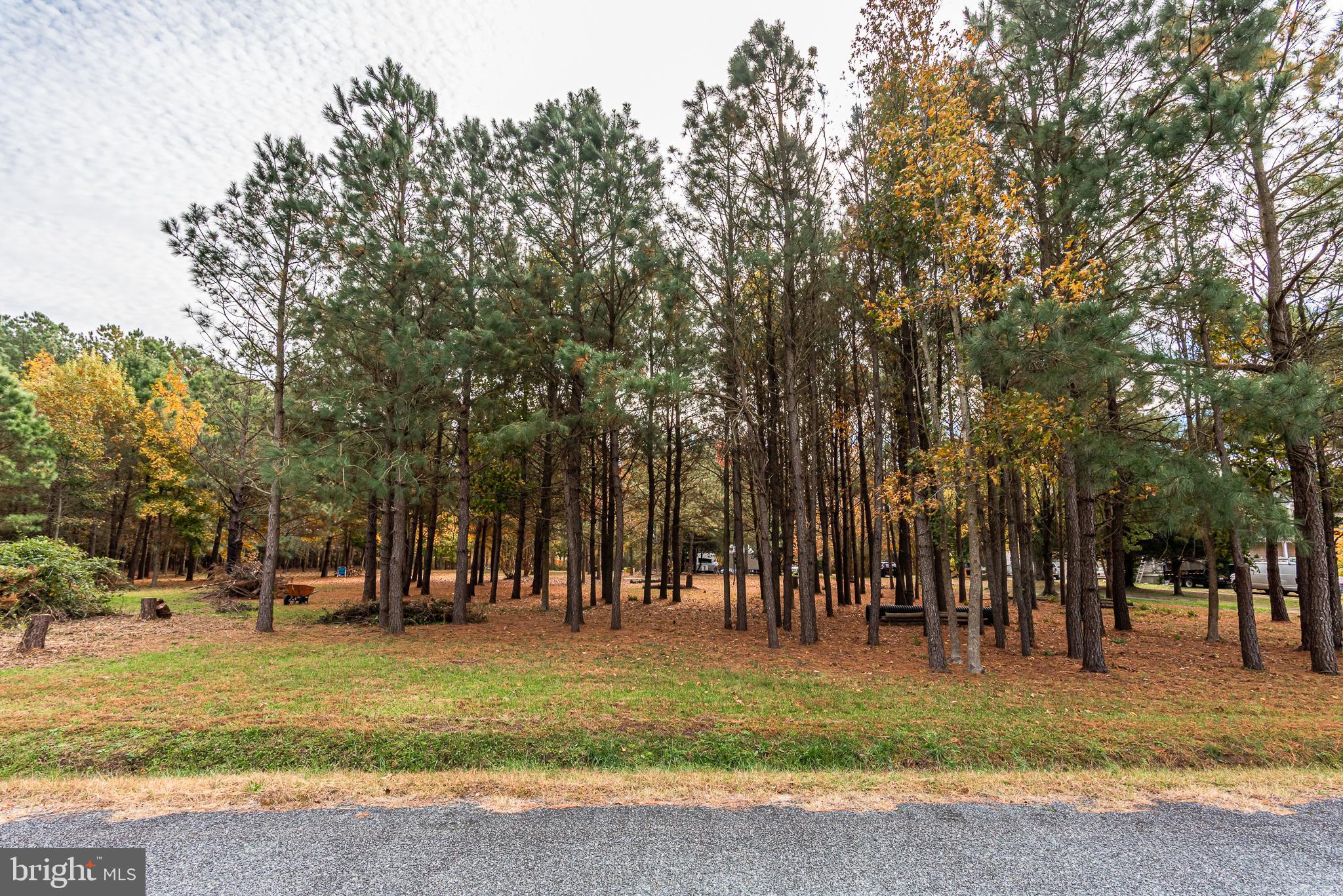 24653 McInturff Road Dames Quarter, MD 21821 - Photo 41 of 62 a view of a park with large trees