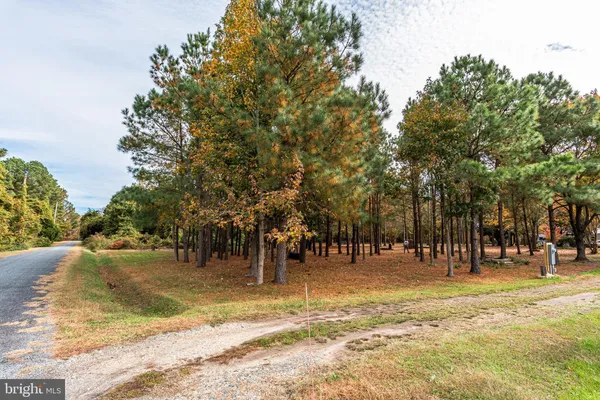 a view of outdoor space with trees