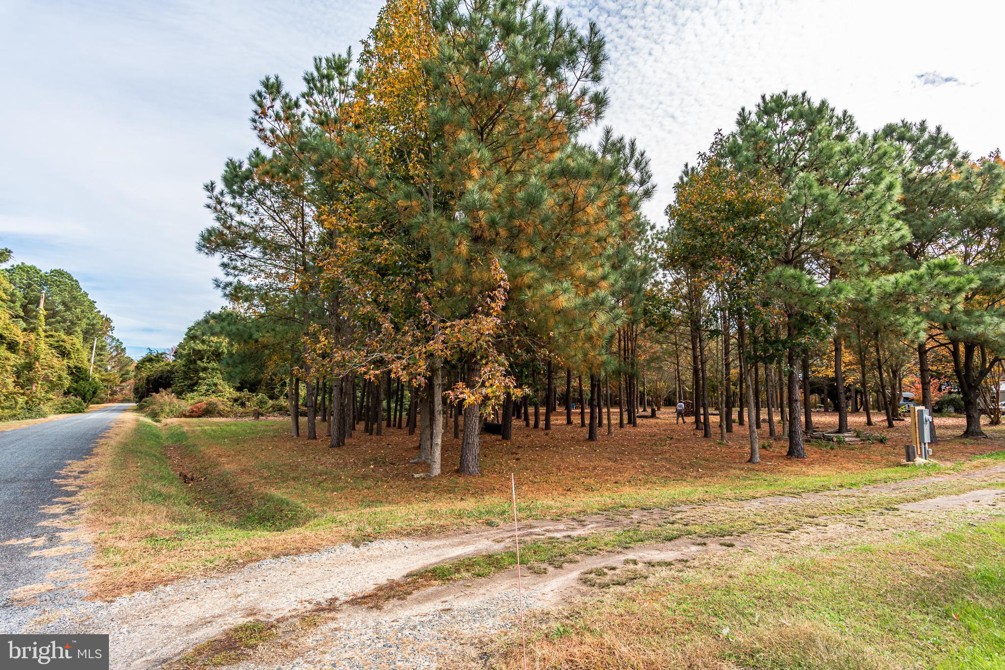 24653 McInturff Road Dames Quarter, MD 21821 - Photo 44 of 62