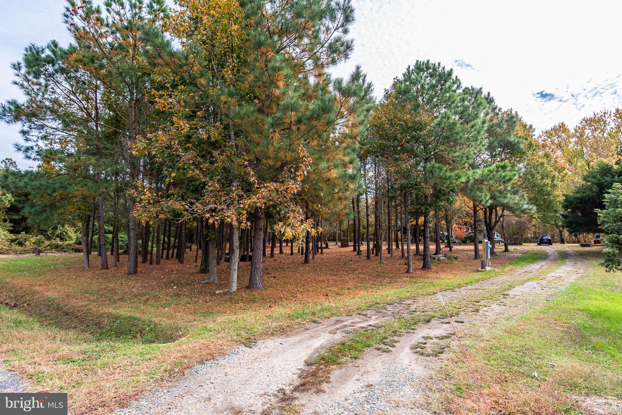 24653 McInturff Road Dames Quarter, MD 21821 - Photo 45 of 62