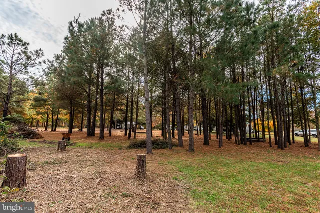 a view of outdoor space with tree
