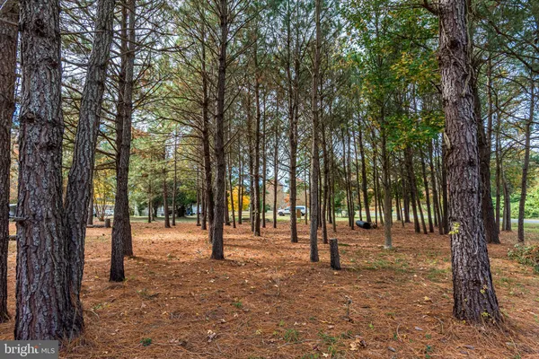 a view of outdoor space with trees