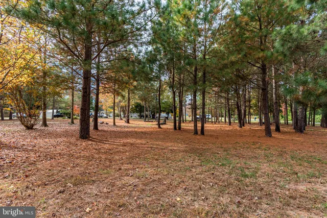 a backyard of a house with seating space