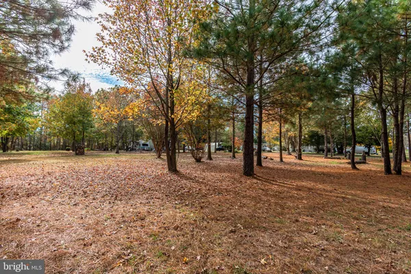 a view of outdoor space with trees
