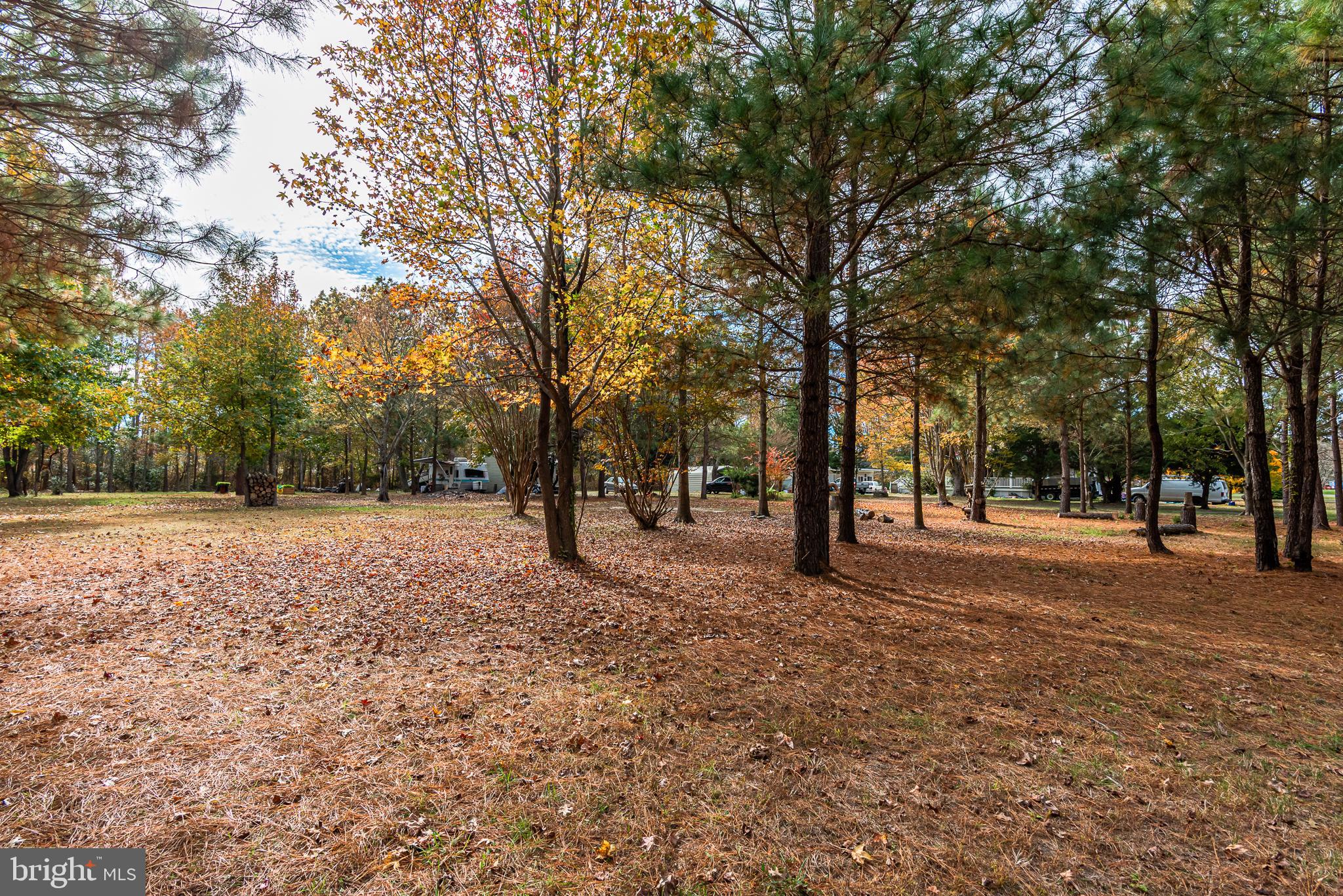 24653 McInturff Road Dames Quarter, MD 21821 - Photo 50 of 62 a view of outdoor space with trees