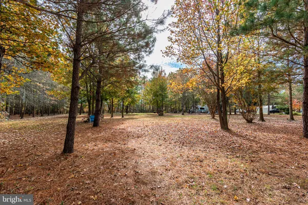 $55,000 | 24653 McInturff Road, Dames Quarter, MD 21821