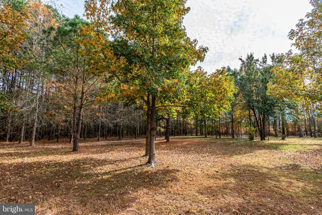 $55,000 | 24653 McInturff Road, Dames Quarter, MD 21821