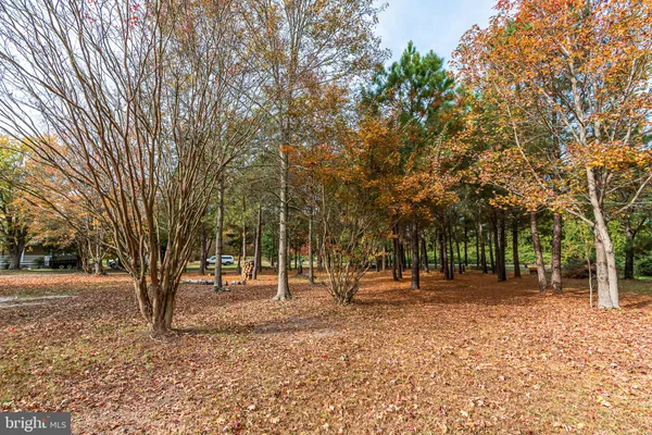 $55,000 | 24653 McInturff Road, Dames Quarter, MD 21821