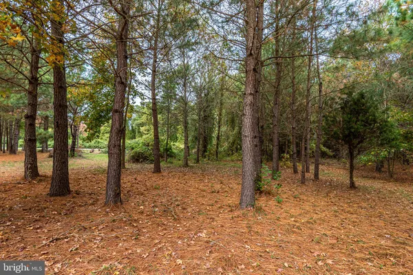 $55,000 | 24653 McInturff Road, Dames Quarter, MD 21821