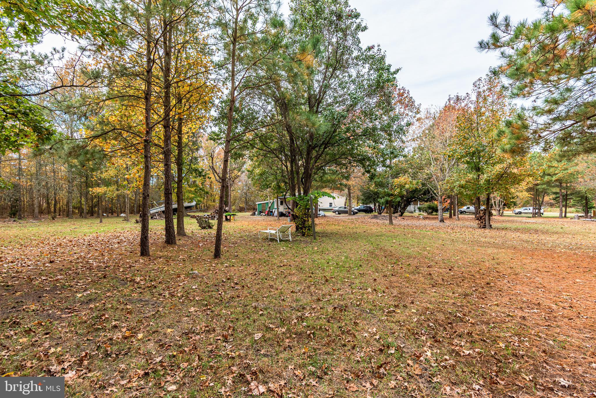 24653 McInturff Road Dames Quarter, MD 21821 - Photo 58 of 62 a view of outdoor space with trees