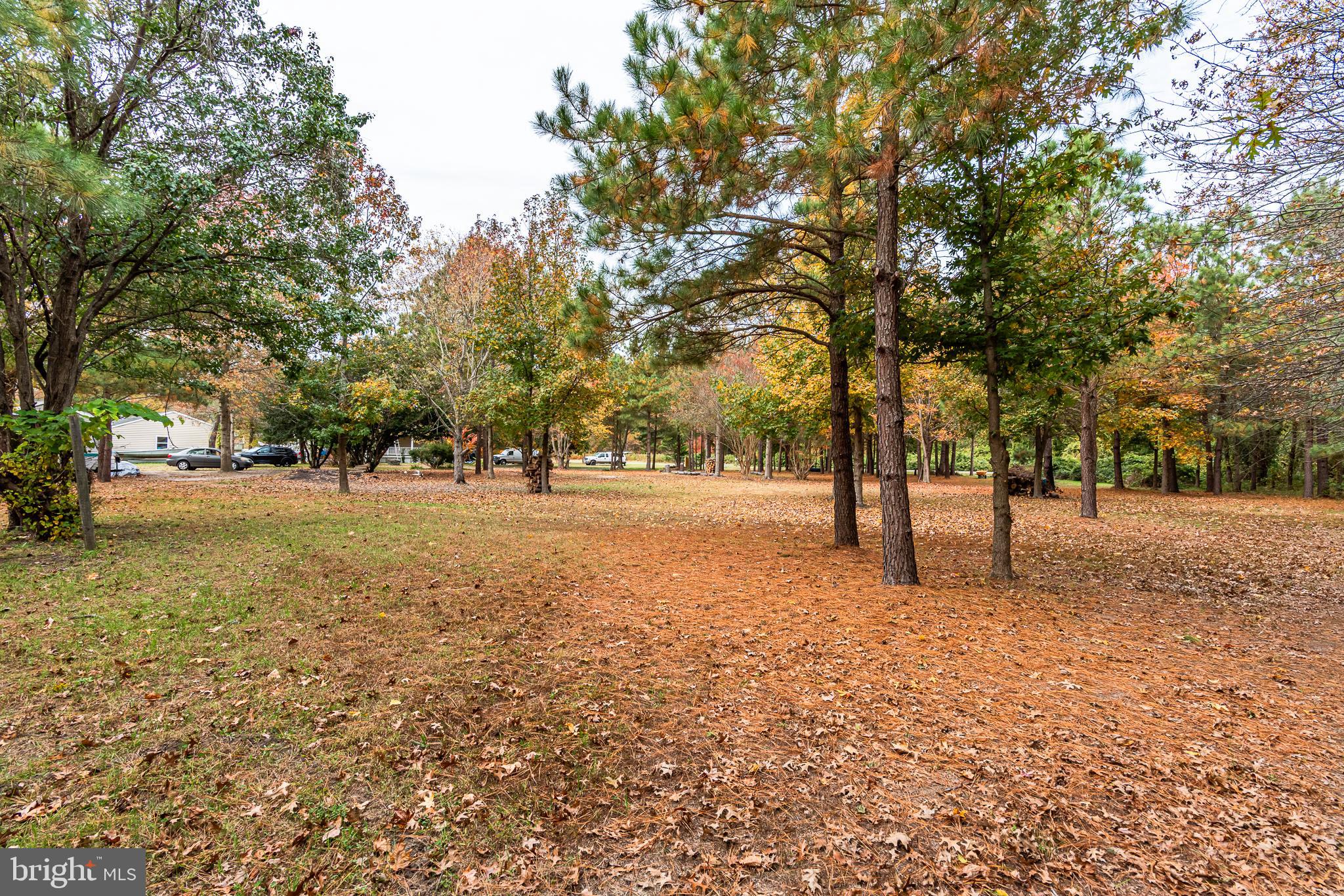 24653 McInturff Road Dames Quarter, MD 21821 - Photo 6 of 62