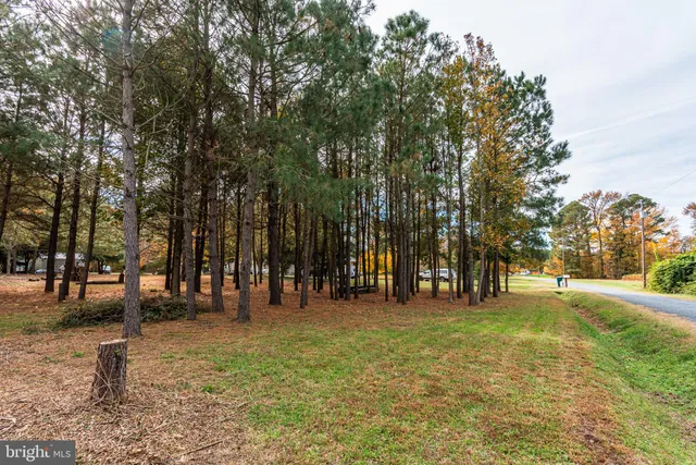 $55,000 | 24653 McInturff Road, Dames Quarter, MD 21821