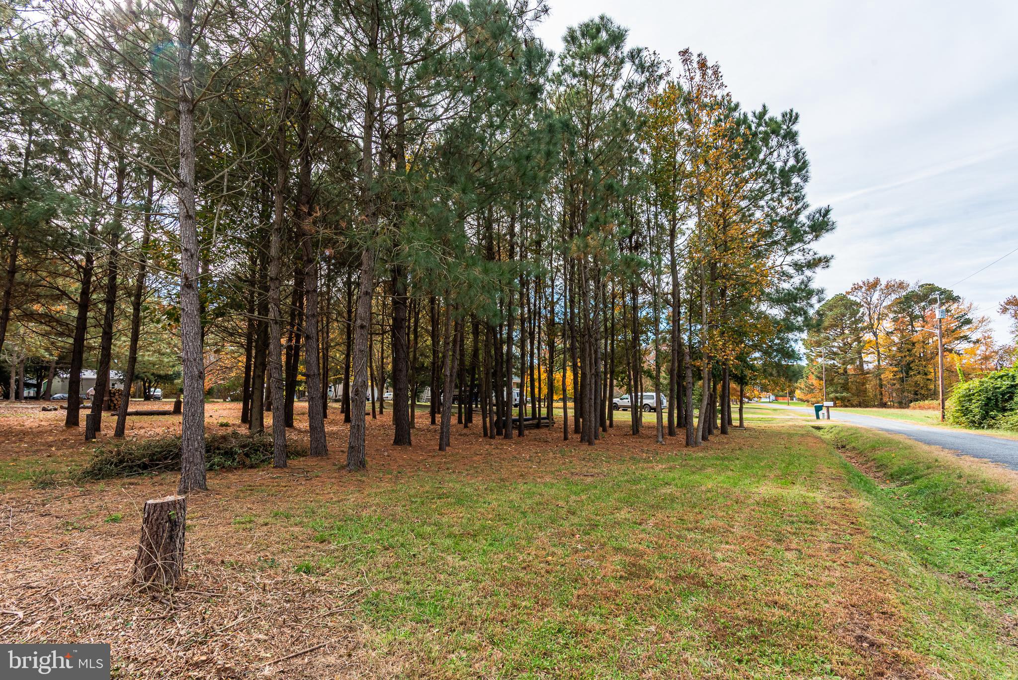 24653 McInturff Road Dames Quarter, MD 21821 - Photo 61 of 62