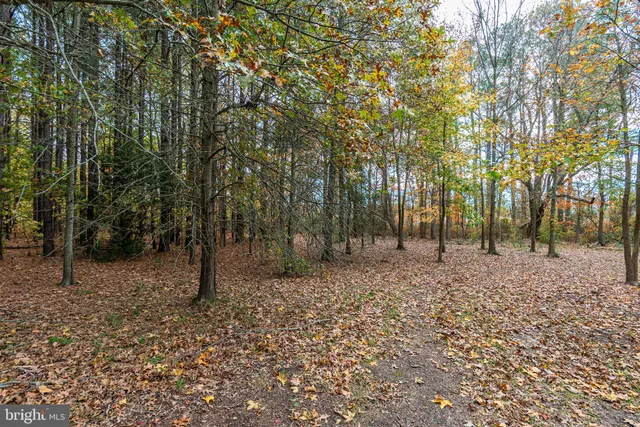 a view of outdoor space with trees