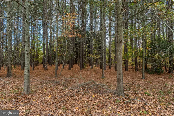 a view of outdoor space with trees