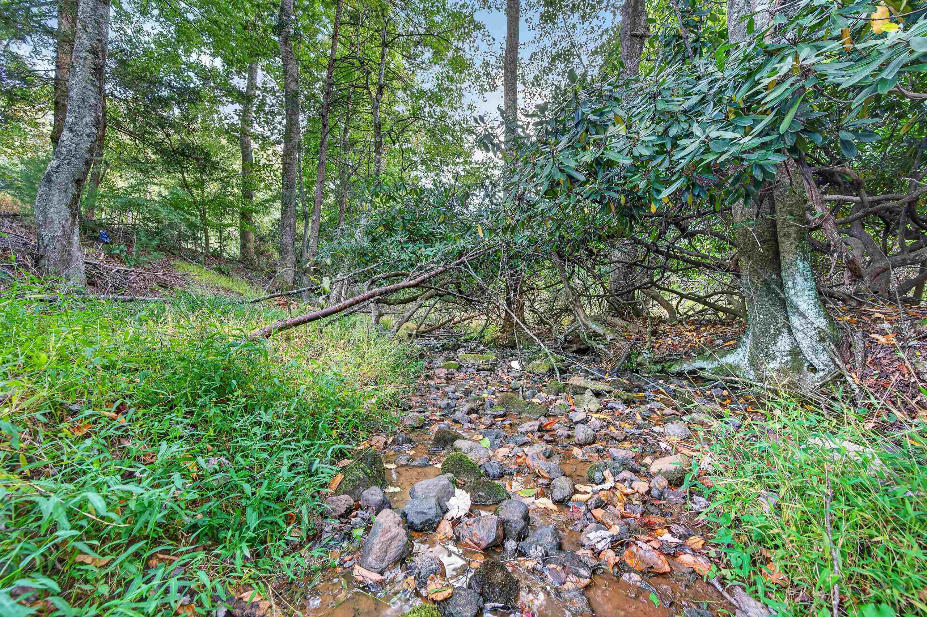 1310 Reedsville Road Northwest Floyd, VA 24091 - Photo 54 of 69 Gallery Image 54