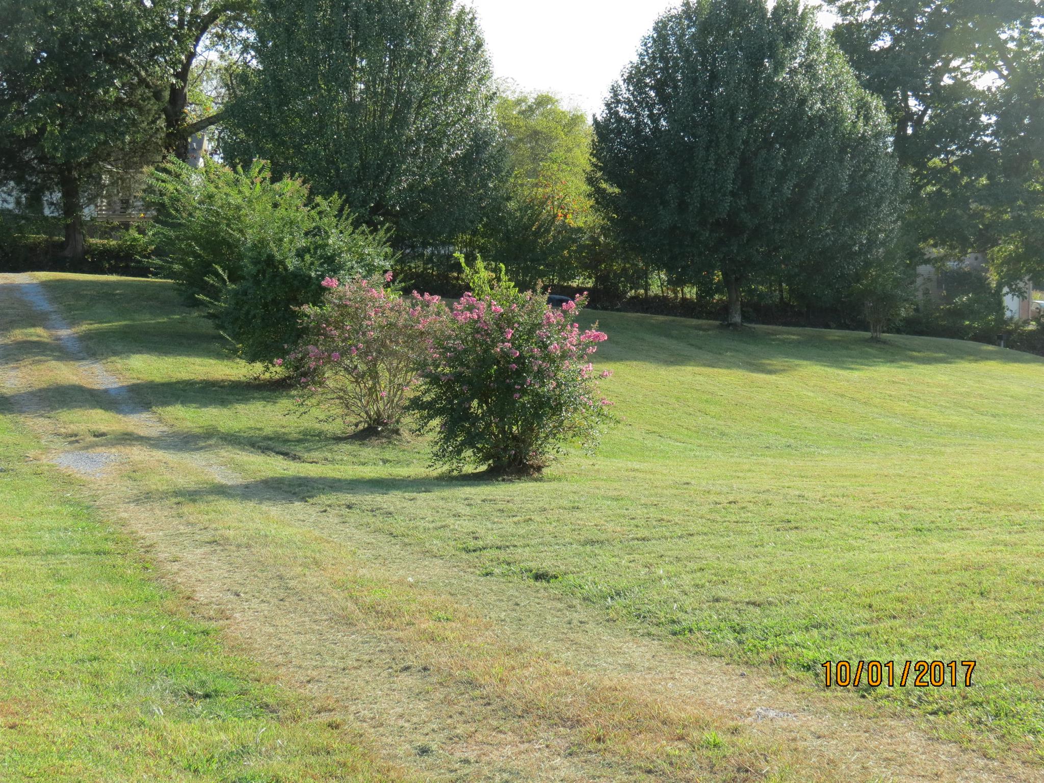 3294 Cedar Grove Road Lebanon, TN 37087 - Photo 3 of 25 a view of a field with an trees