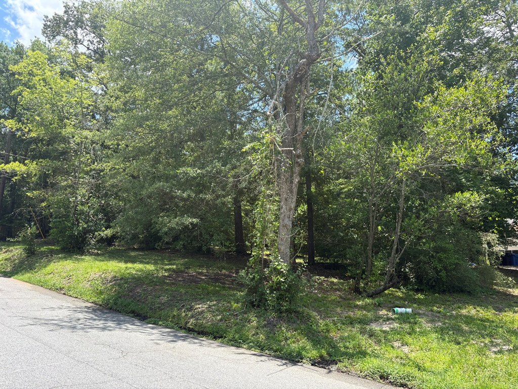4017 Valley Road Columbus, GA 31907 - Photo 12 of 51