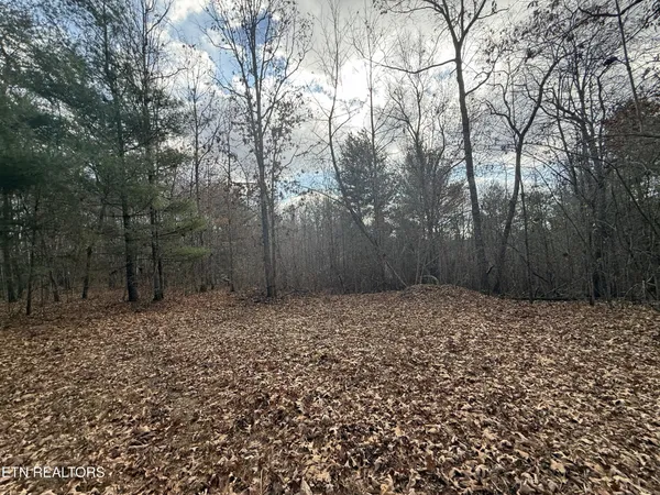 $104,900 | 0 Valerie Drive, Deer Lodge, TN 37726