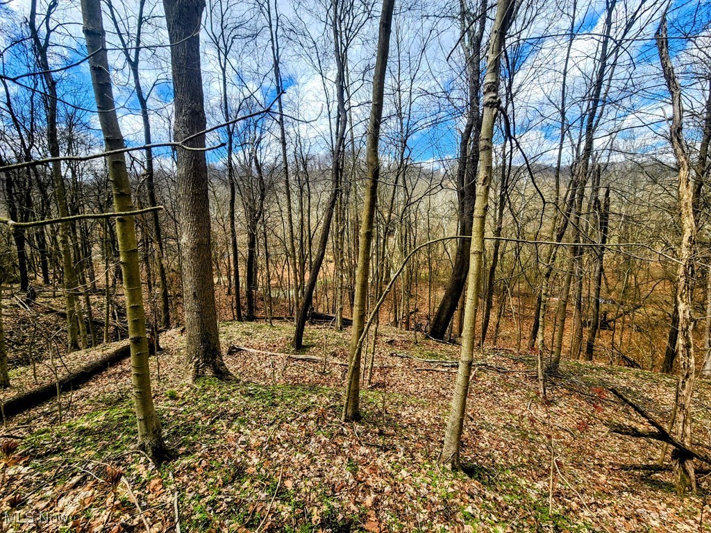 Kings Creek Road New Cumberland, WV 26047 - Photo 16 of 18