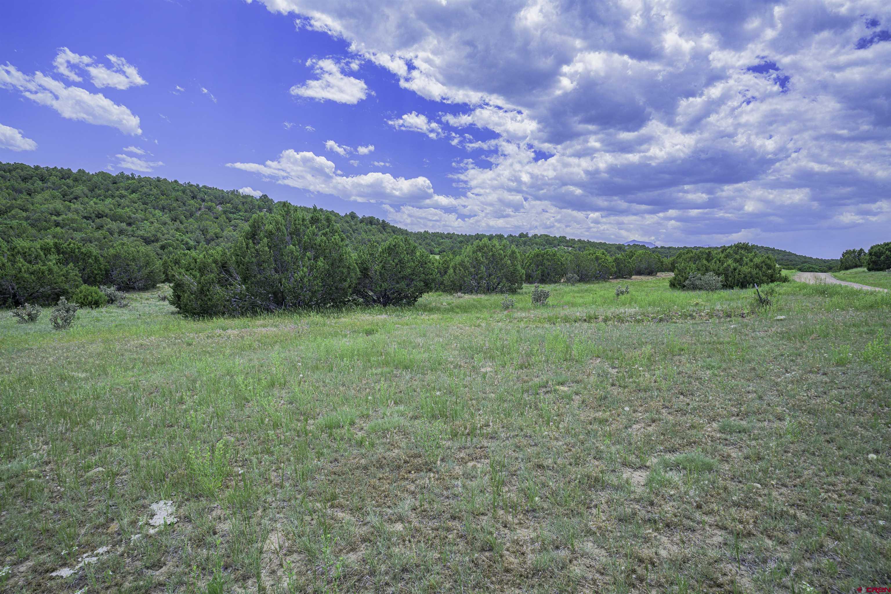 254 Sunset Court Walsenburg, CO 81089 - Photo 3 of 45
