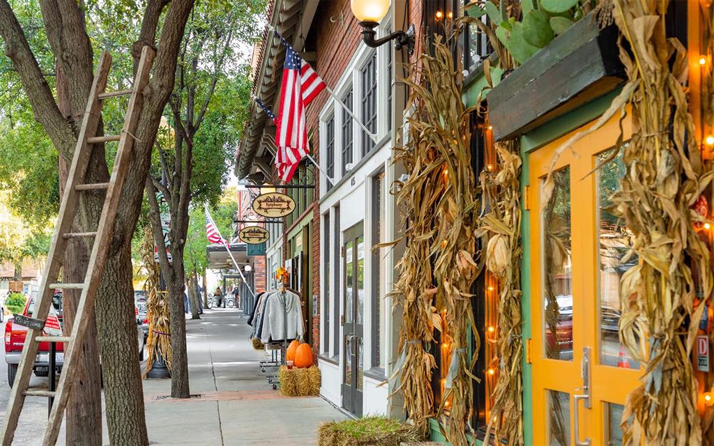 828 Elsbeth Street Dallas, TX 75208 - Photo 35 of 35