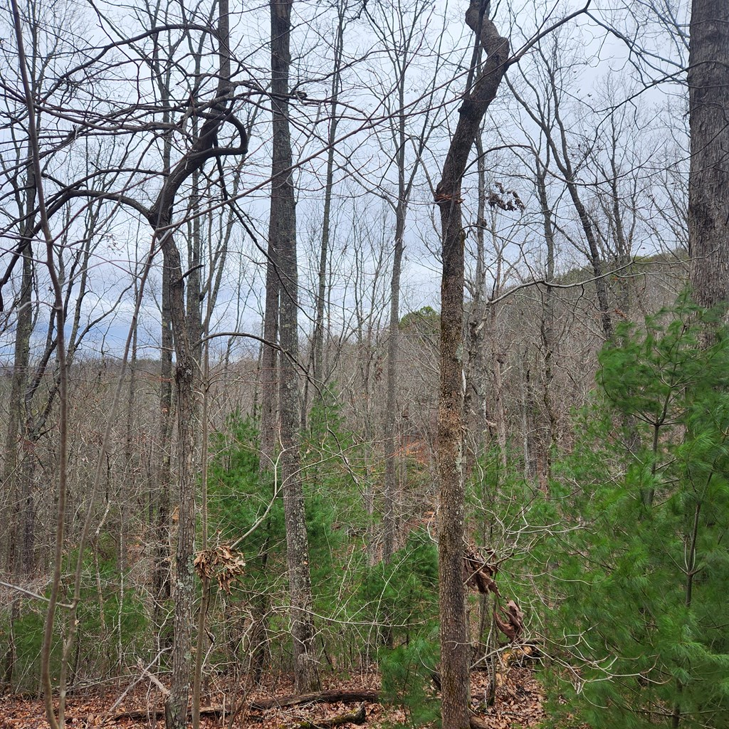 7.72-ac Tower Road Mineral Bluff, GA 30559 - Photo 15 of 16 Gallery Image 15
