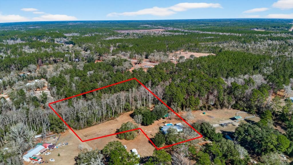 2744 Roy Sikes Road Hilliard, FL 32046 - Photo 93 of 97 an aerial view of residential houses with outdoor space and trees