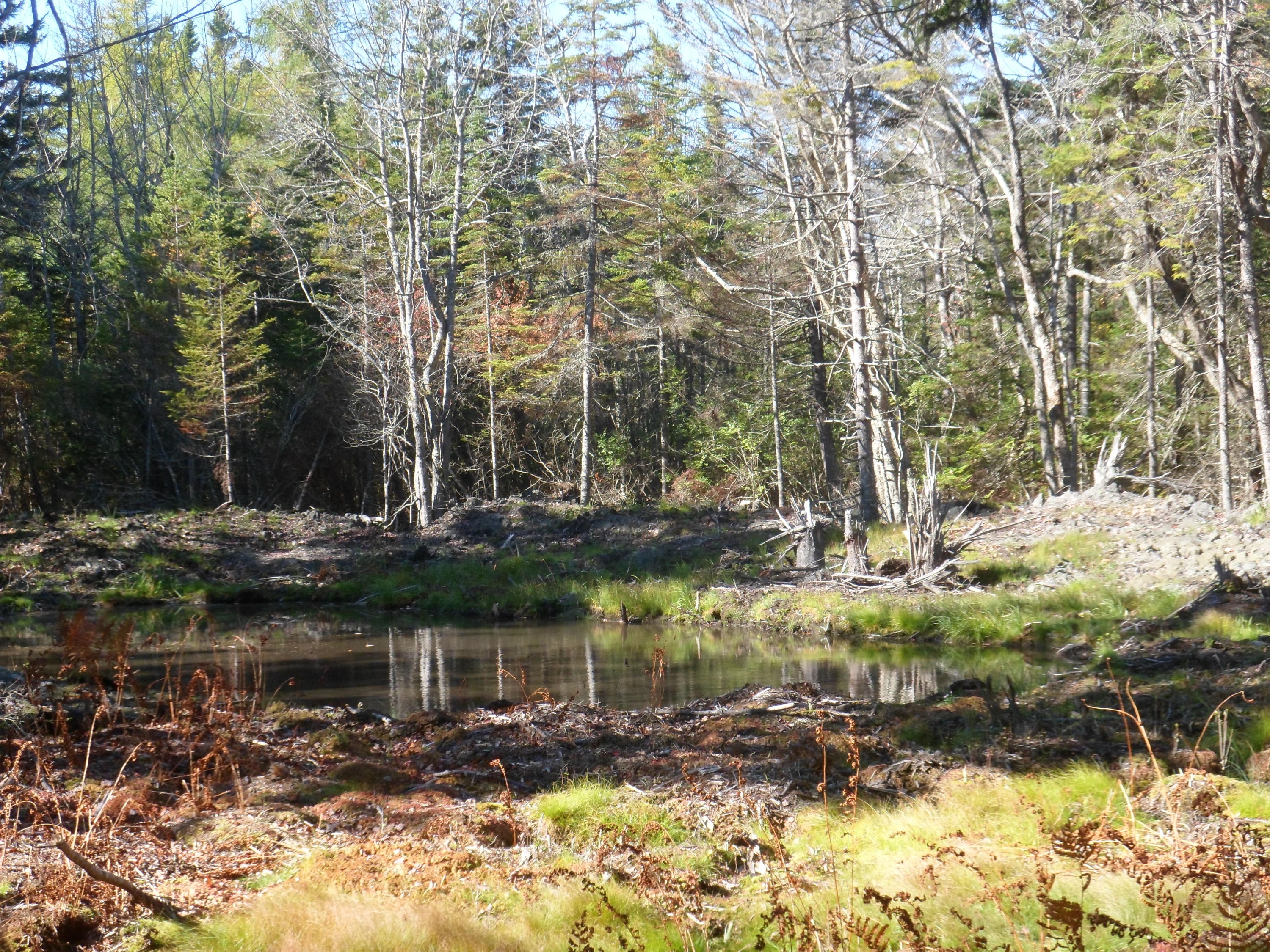 Lot 3 Pooles Hill Road Vinalhaven, ME 04863 - Photo 20 of 21 A04172E9-AAE5-40B8-8880-F62503F61D49