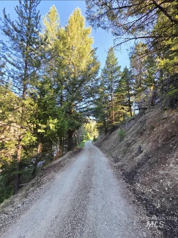 $200,000 | 27 Grizzly Lane, Challis, ID 83226