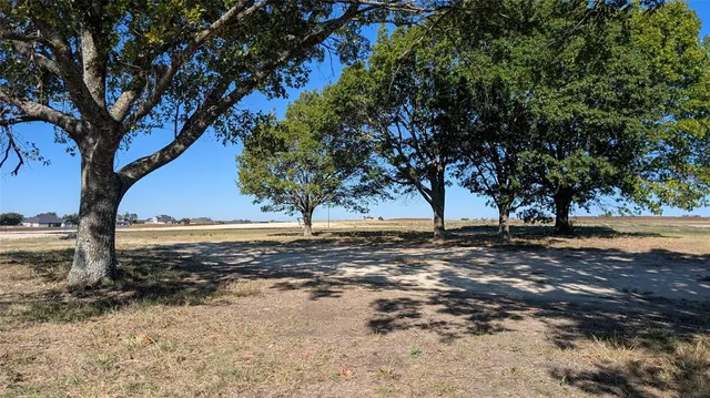 a view of a yard with trees