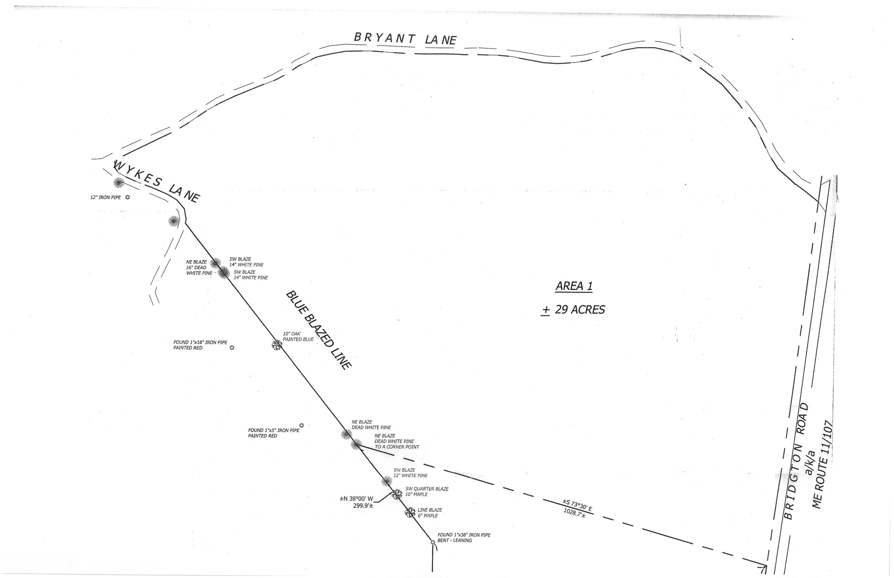 Bridgton-bryant Rds Baldwin Me 04024 Roads East Baldwin, ME 04024 - Photo 2 of 10 29acresBridgton-BryantRdsSurvey