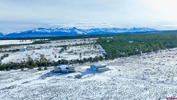 a view of a garden with a building in front of it