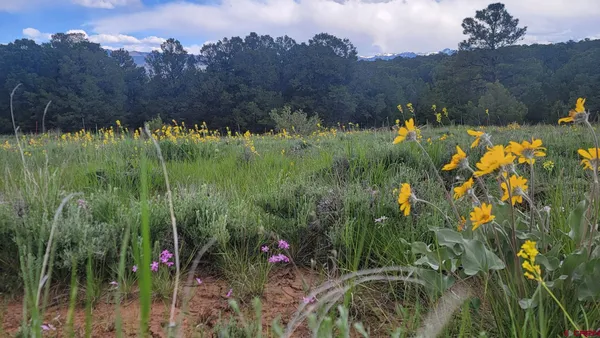 $1,099,999 | 6568 County Road 1, Montrose, CO 81403