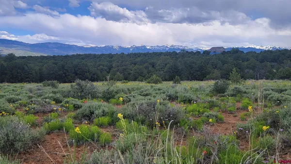 $1,099,999 | 6568 County Road 1, Montrose, CO 81403