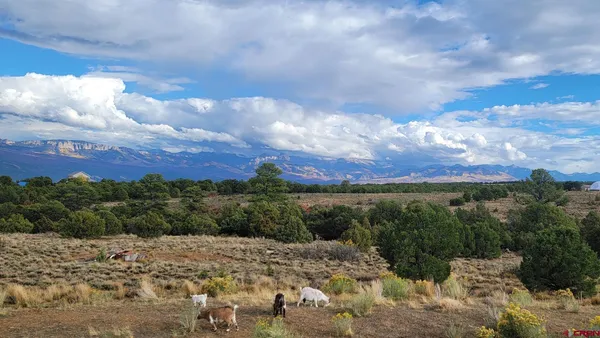 $1,099,999 | 6568 County Road 1, Montrose, CO 81403