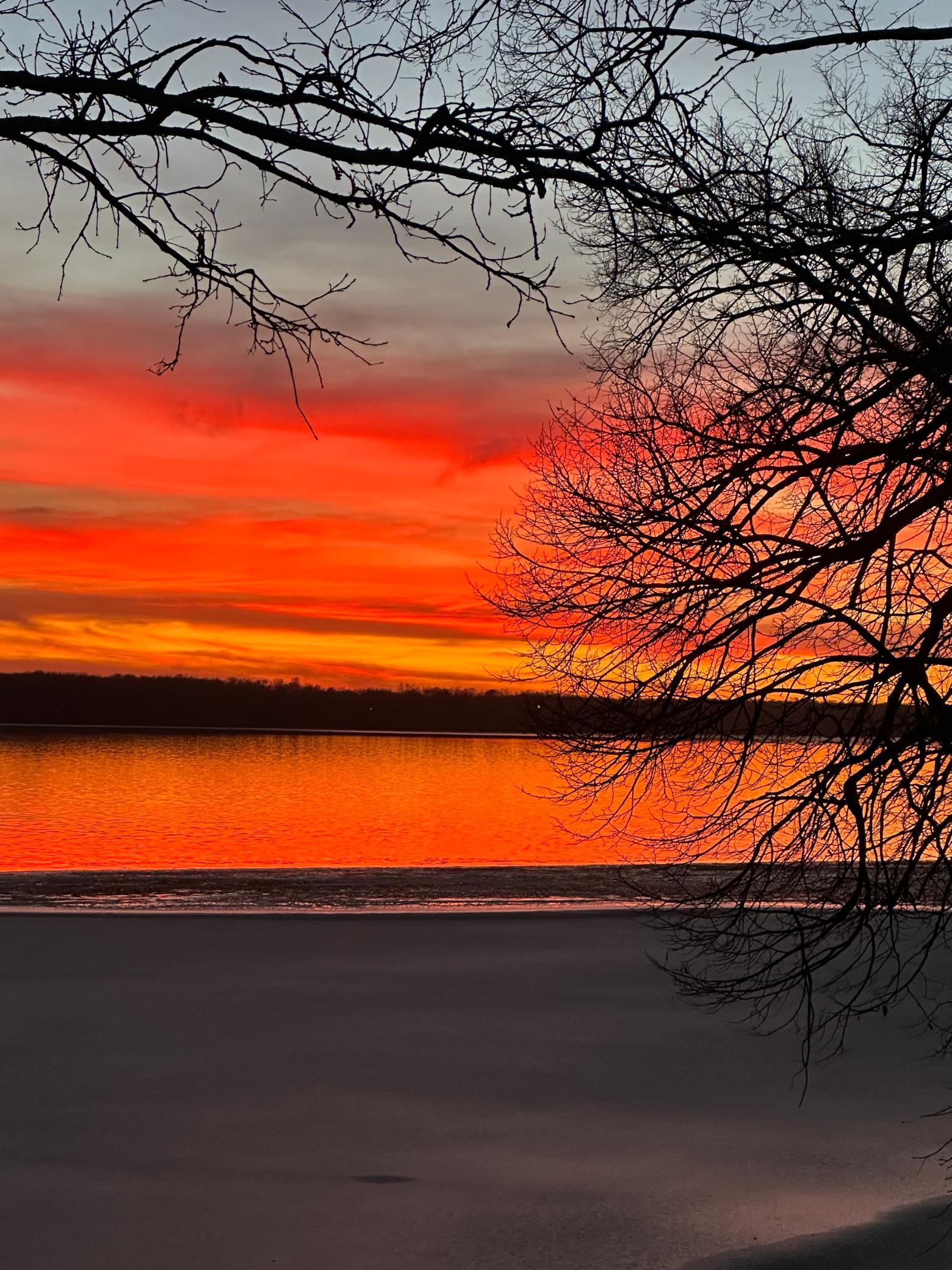 14783 Old Lake Road Paynesville, MN 56362 - Photo 39 of 43