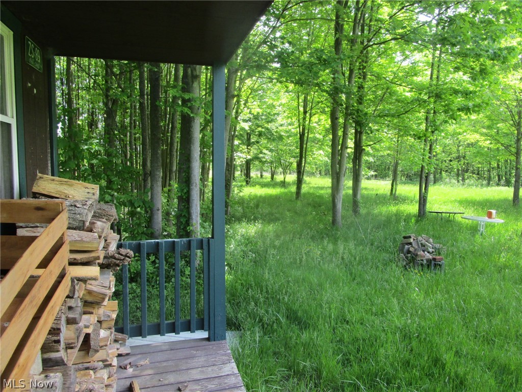 Vl Doyle Road Jefferson, OH 44047 - Photo 18 of 42